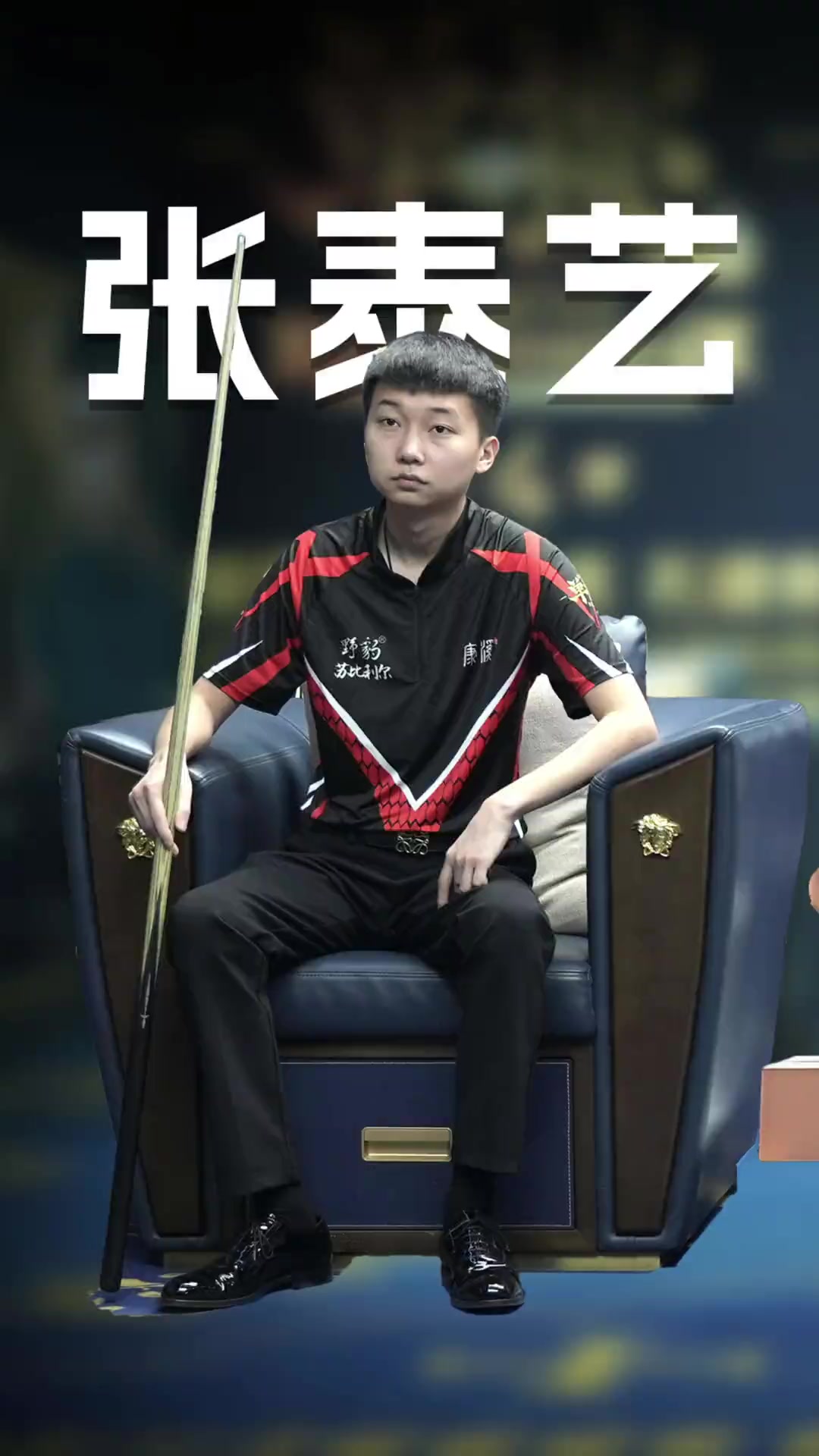 与适应性 与适应性