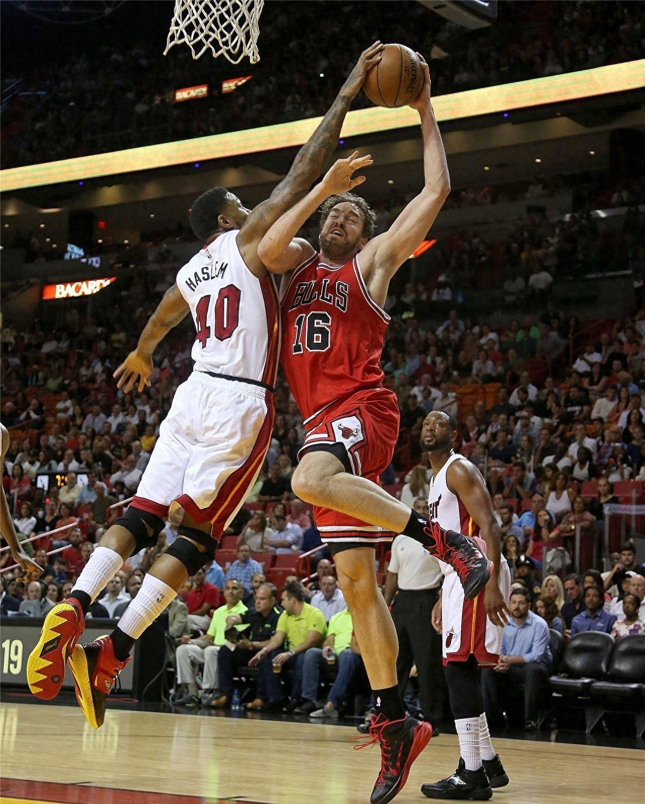 杨的得分能 杨的得分能