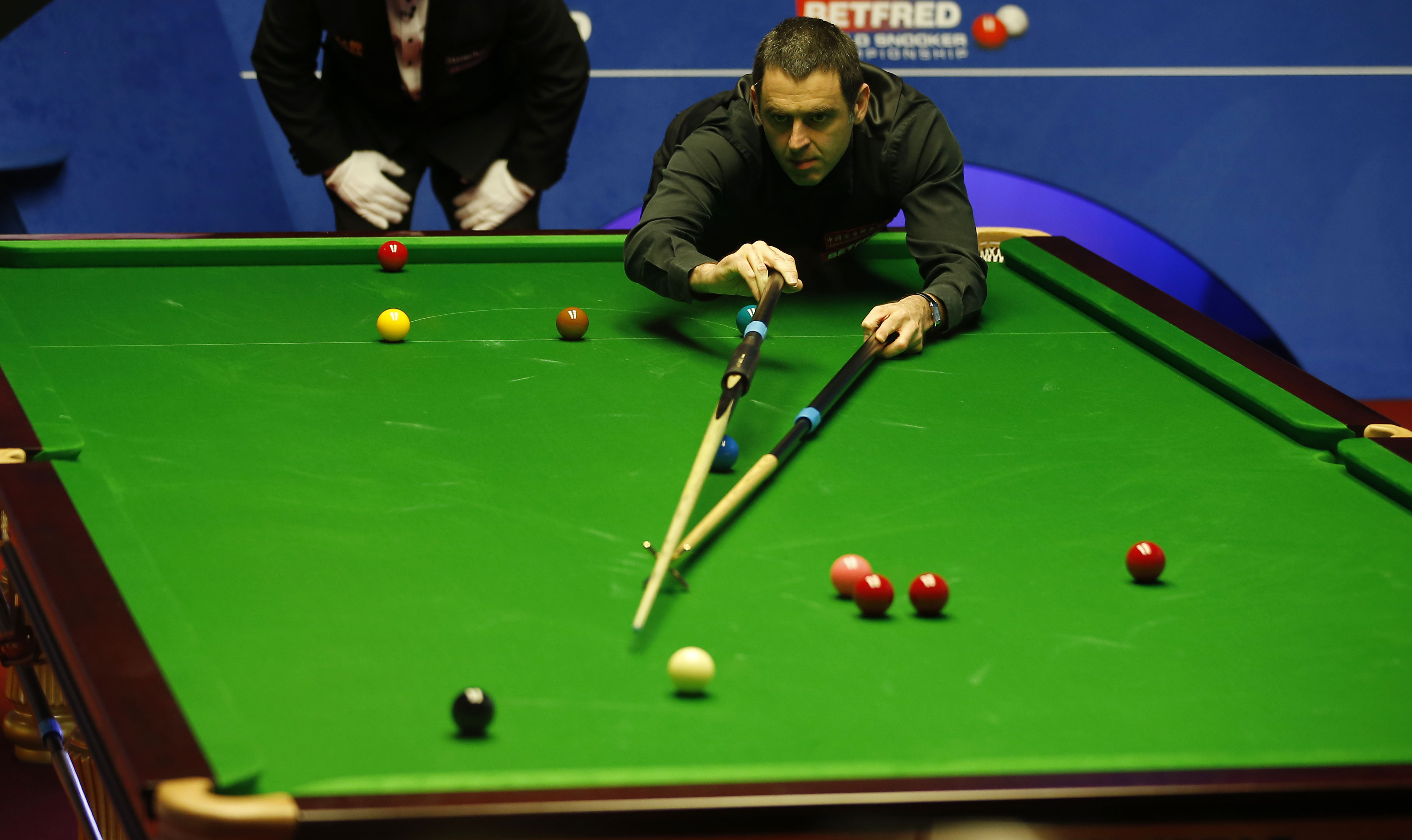 股东的不满 股东的不满