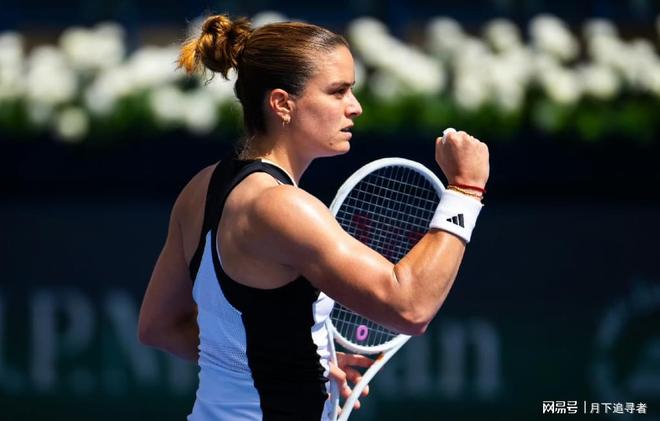 动物森友会 动物森友会